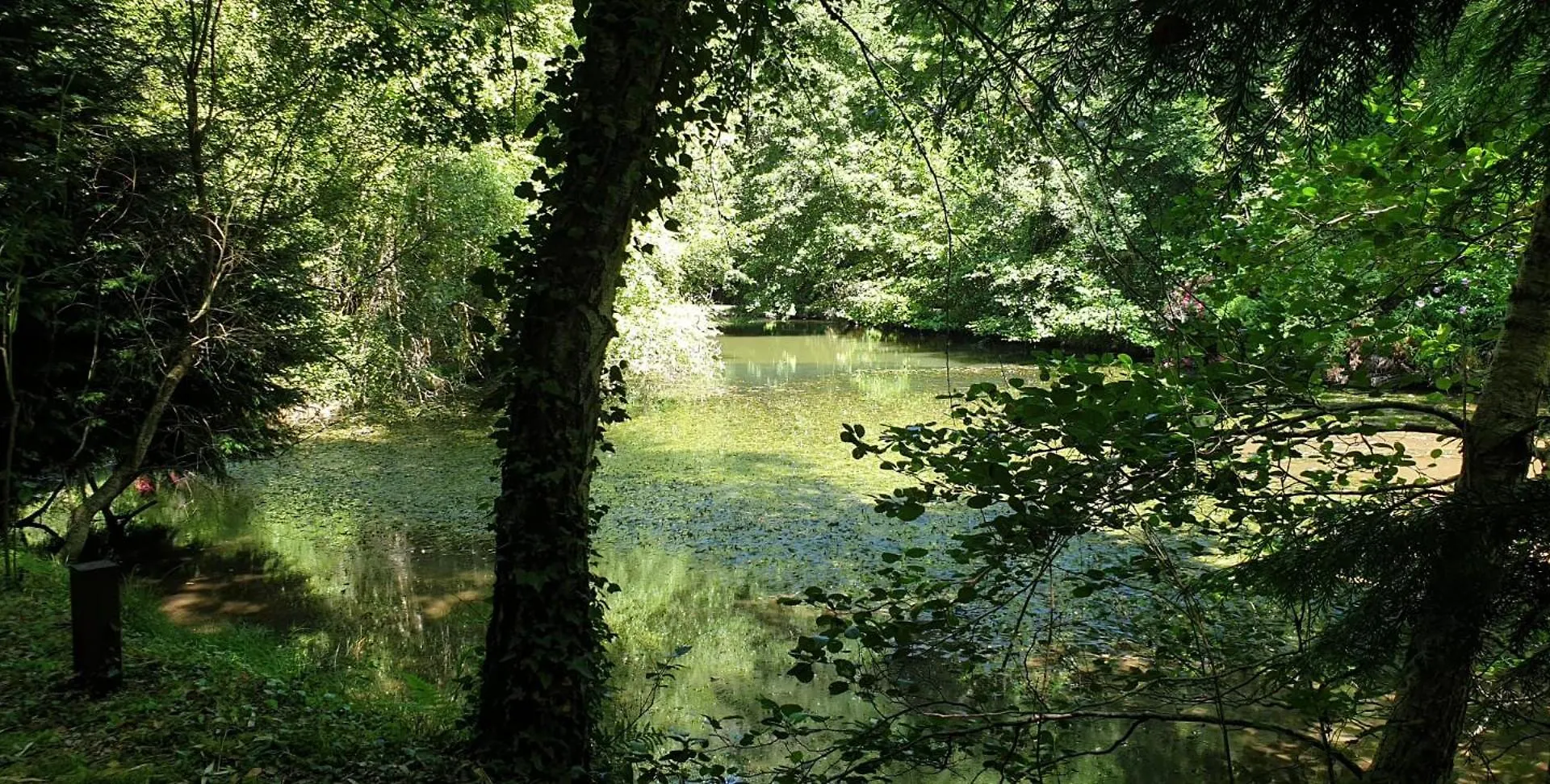 La Maison De L'Ecrivain La Bastide-l'Eveque